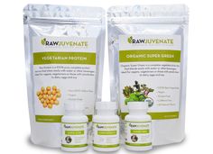 rawjuvenate organic vegan protein reviews