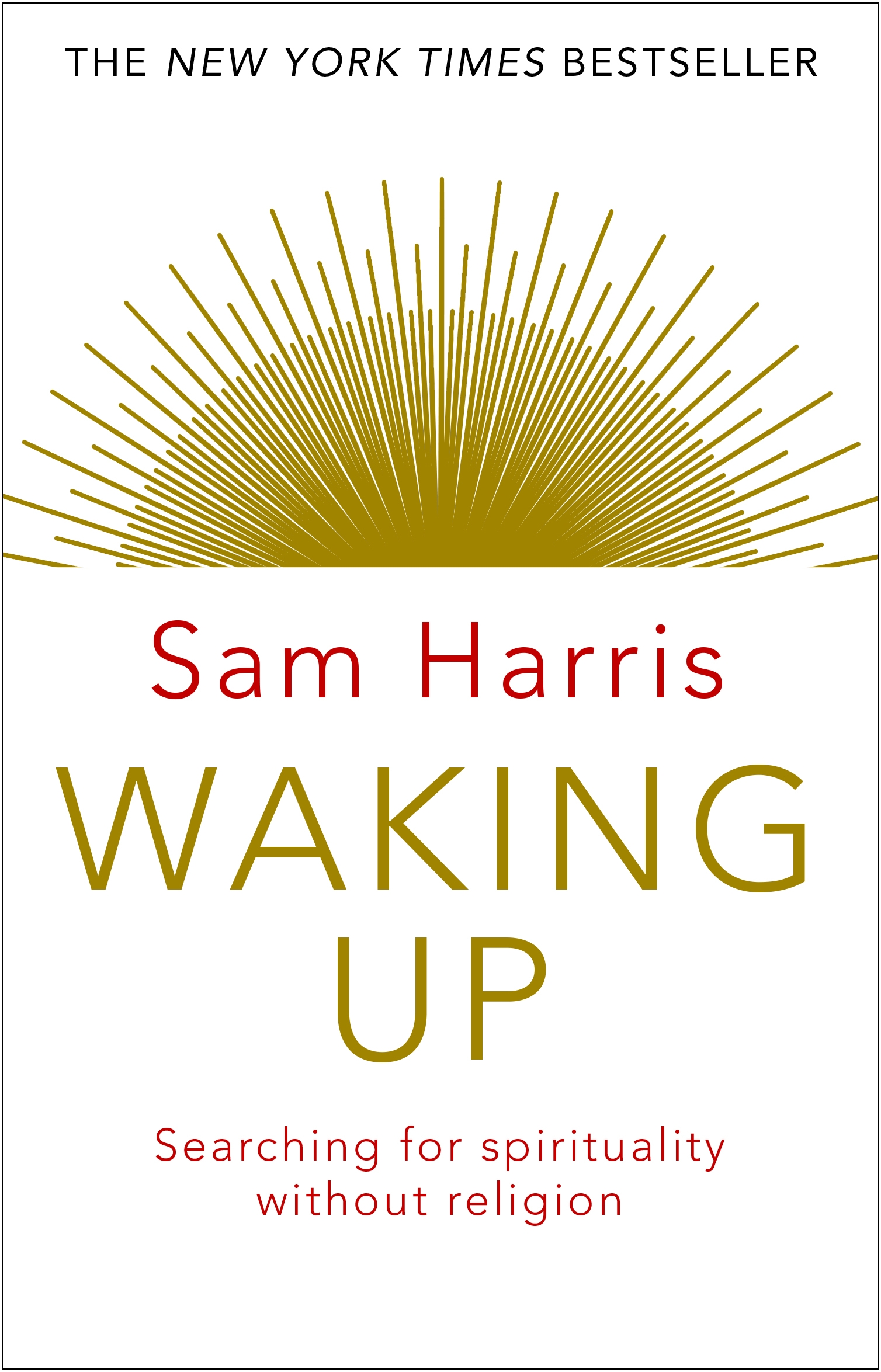 sam harris waking up review