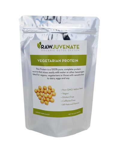 rawjuvenate organic vegan protein reviews