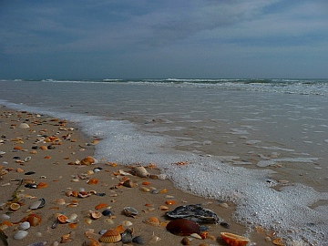 st george island state park reviews