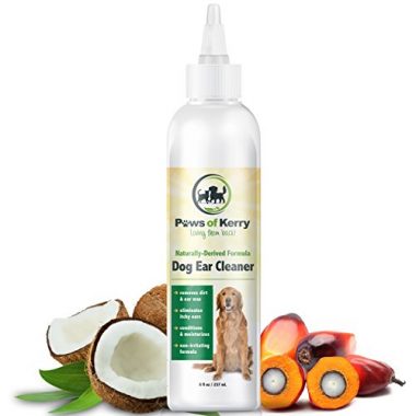 best dog ear cleaner reviews