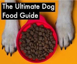 kirkland mature dog food review