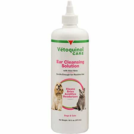 best dog ear cleaner reviews