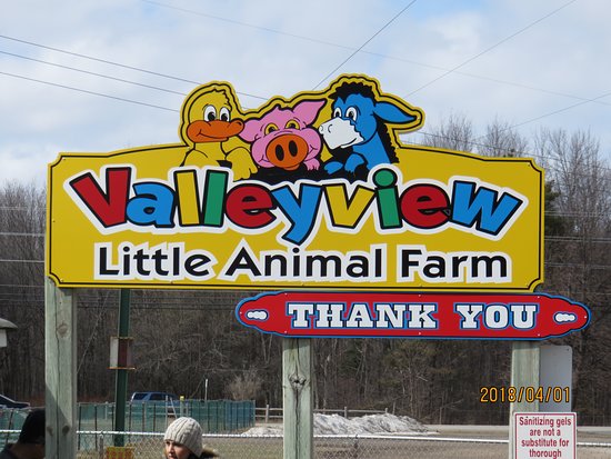 valleyview little animal farm review